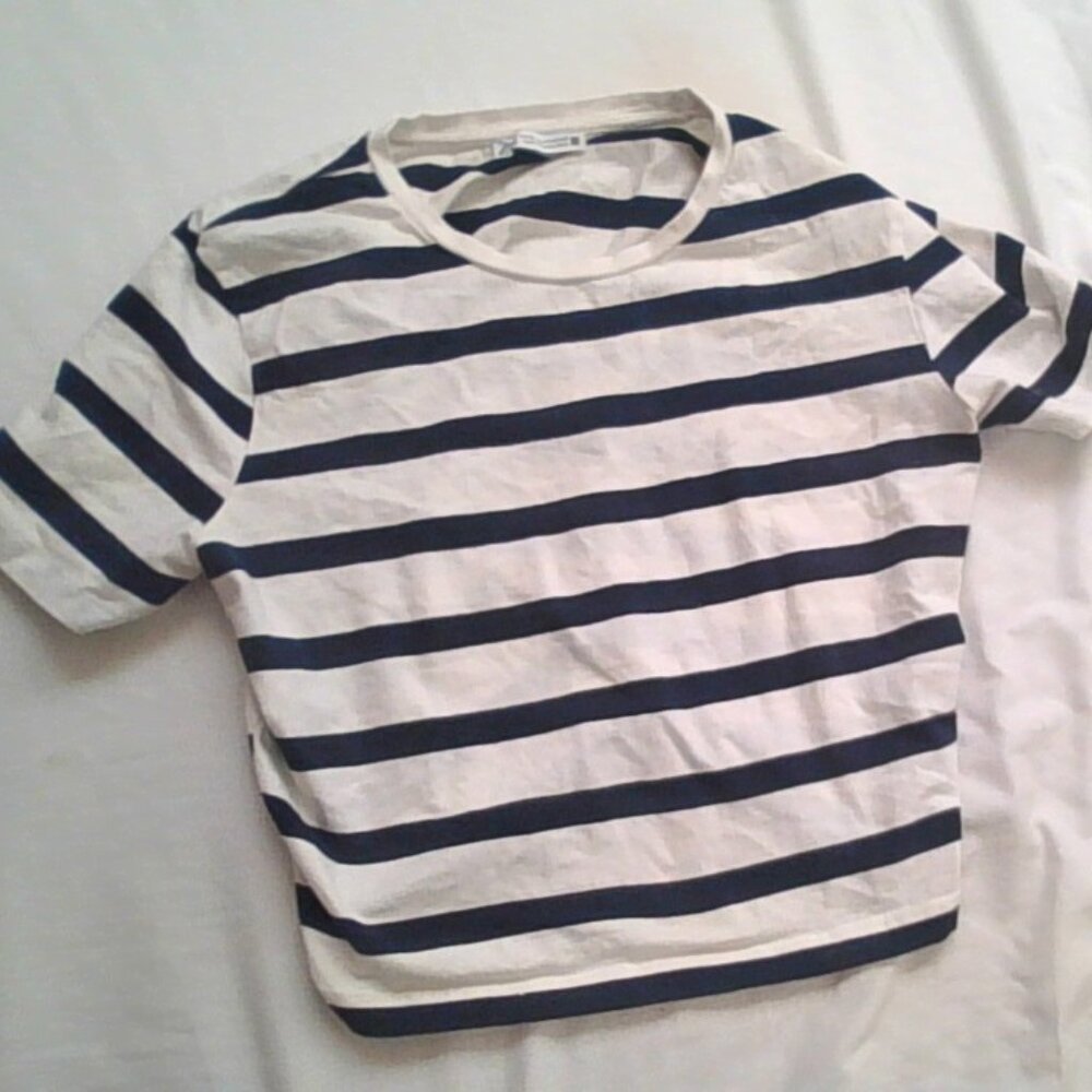 ZARA Striped Crop Top